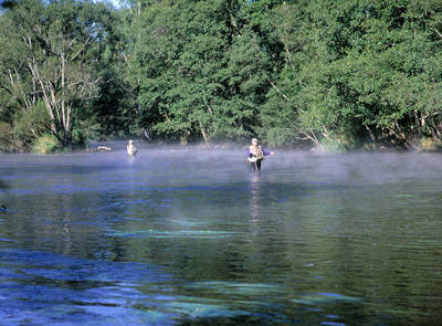 Rybaření